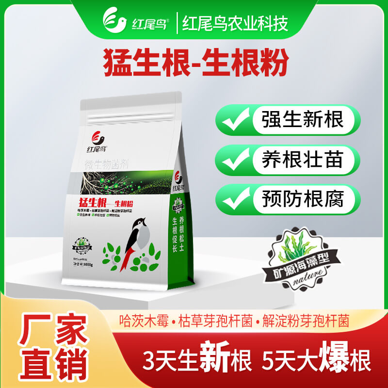 猛生根-生根粉 3天生新根 7天大爆根 养根壮苗 预防根腐【扫描页面最下方二维码可直接购买】