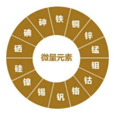 作物生长需要哪些养料？红尾鸟农业告诉你！
