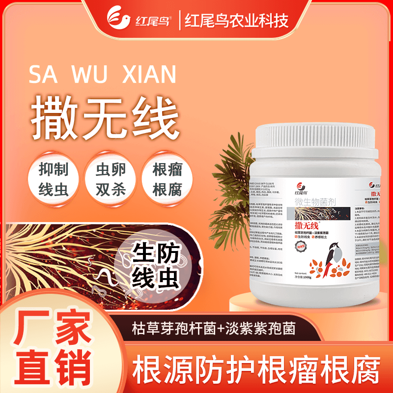 红尾鸟撒无线 抑制线虫 虫卵通杀 根源防护 根瘤根腐 枯草芽孢杆菌+淡紫紫孢菌【扫描页面下方二维码可直接购买】