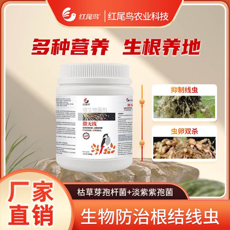 红尾鸟撒无线 抑制线虫 虫卵通杀 根源防护 根瘤根腐 枯草芽孢杆菌+淡紫紫孢菌【扫描页面下方二维码可直接购买】
