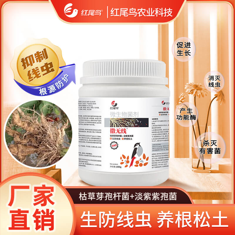 红尾鸟撒无线 抑制线虫 虫卵通杀 根源防护 根瘤根腐 枯草芽孢杆菌+淡紫紫孢菌【扫描页面下方二维码可直接购买】
