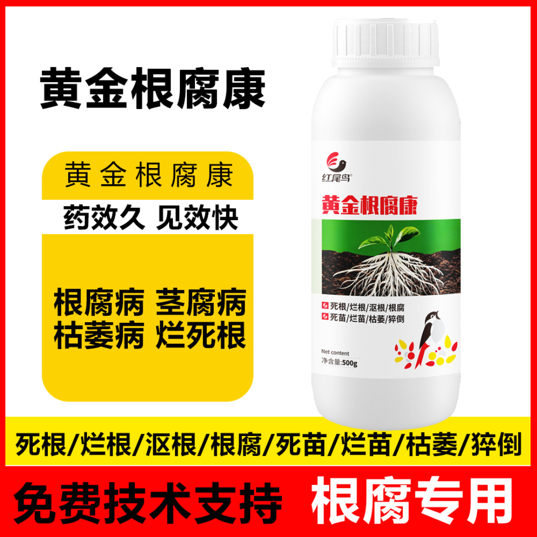 根腐病专用药根腐克星软腐病防烂根沤根基腐病活化土壤黄金根腐康