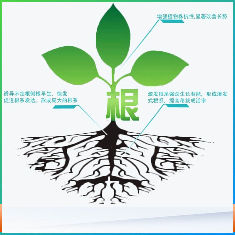 红尾鸟强力生根粉复合肥增强产品磷酸二氢钾肥钙镁氨基酸水溶肥