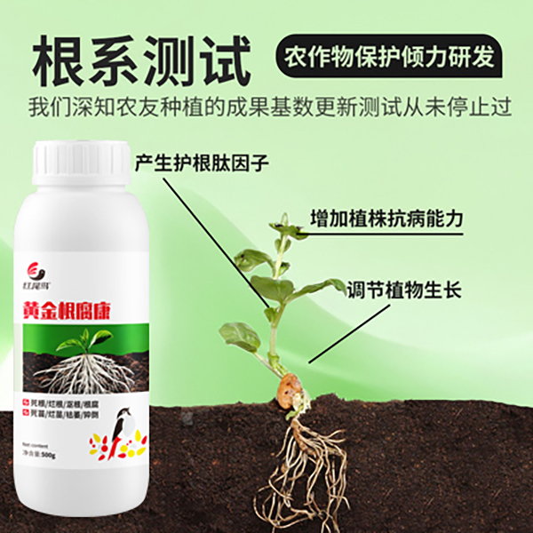 根腐病专用药根腐克星软腐病防烂根沤根基腐病活化土壤黄金根腐康