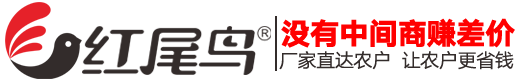红尾鸟多花多果用户反馈