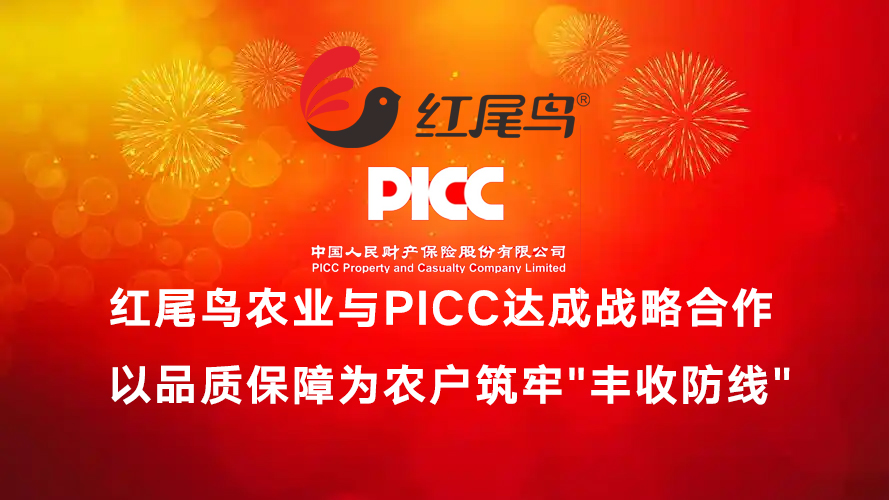 红尾鸟农业与PICC达成战略合作 以品质保障为农户筑牢”丰收防线”